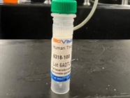 Time Course Effect of Chemoattractant on Trx2 Expression