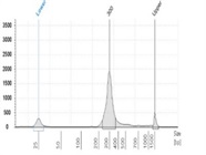 Tapestation: The Fastest and Easiest Option for your Sample QC