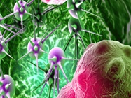 Cancer research highlights: Resolve cancer with single cell and spatial multiomics