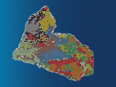 Spatially Resolved Heterogeneity of Triple Negative Breast Cancer ...
