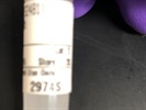 Good Western Blot With p70 S6 Kinase