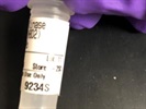 Good Stat6 (D3H4) Rabbit mAb for Western Blot