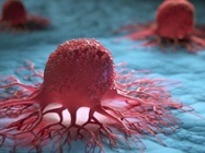 Accelerating cancer research through comprehensive genomic analysis