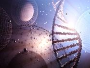 Analyzing Poly(A) Tails of In Vitro Transcribed RNA with the Agilent Fragment Analyzer System