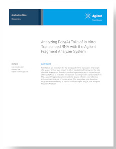 Poly(A) Tails Analysis