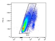 Good CD170 Antibody for Neutrophils