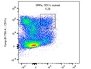Good CD172a Antibody for Thymic DCs/Macrophages