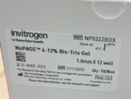High Quality Pre-Cast Western Blotting Gels