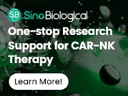 One-stop Research Support for CAR-NK Therapy