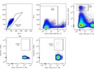 Ok Anti-Mouse CD365 PE Antibody