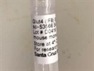 Great Signal with Glut4 (IF8) Antibody