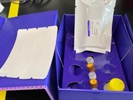 Intuitive Cytokine Array from RayBiotech