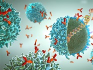 Cancer Immunotherapy Research: No More Nonresponders