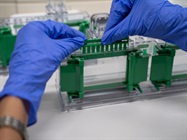 Infographic: Methods and Tips for Western Blot Protein Transfer