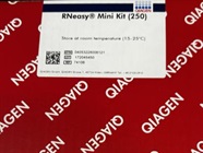 Fast and Great Quality RNeasy Mini Kit for RNA Isolation