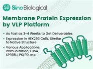 VLP Membrane Protein Expression Service