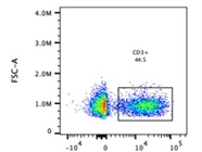 Easy to Use Anti-CD3 Antibody from Thermo Fisher Scientific