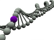 Cost-Effective Targeted Methyl Seq using an xGen™ Custom Hyb Capture Panel and xGen Methyl Seq Library Prep Kit identifies DNA methylation in low input samples consistent with WBGS