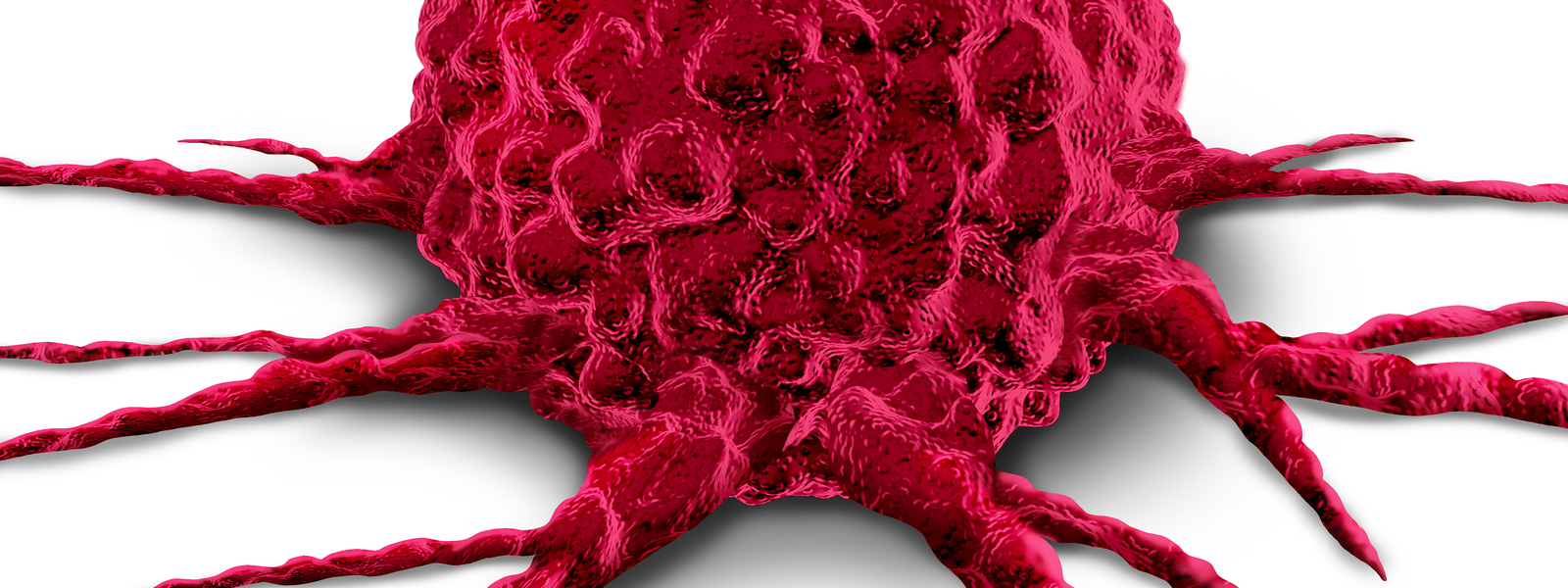  xGen™ MRD Hybridization Panel for Minimal Residual Disease Research