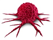 xGen™ MRD Hybridization Panel for Minimal Residual Disease Research