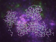 Host Cell Protein Detection and Analysis
