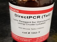 Good Tail Lysis Buffer from Viagen Biotech