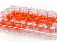 Cell Culture Media Selection: From Basal to Beyond