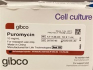 Easy and Quick Way to Select Stable Cells after Transfection