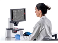 Mateo TL Digital Transmitted Light Microscope