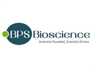 Custom Cell Line Development