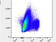 Good Separation of Murine Lymphocytes by Flow Cytometry