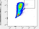 Best Anti-Mouse Aire Antibody I've Found for Flow Cytometry
