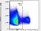 Good Siglec F Antibody for Flow Cytometry
