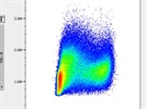 OK CD11b Antibody for Flow Cytometry of Murine Lymphocytes