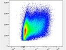 Fairly Good Antibody for Murine Lymphocytes via Flow Cytometry
