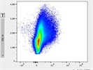 Just OK Antibody for Flow Cytometry