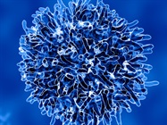 Resolve Cancer with Single Cell and Spatial Multiomics