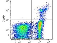 Easy to Use Viability Staining Solution for Live and Dead Cell Detection