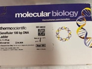 100 bp DNA Ladder Easy to Detect and Clear Bands