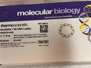 Ready to Use 1 kb DNA Ladder with Clear Bands