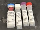 Nice TNF Alpha Mouse Uncoated ELISA Kit