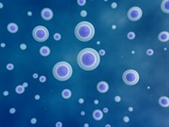 Optimizing Sample and Library Prep for Single-Cell RNA-Seq