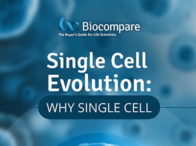 Single Cell Evolution: Why Single Cell