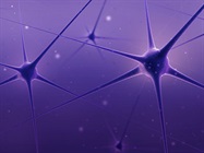 Peering into the Untapped Potential of Neural Organoids