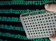Viral Genome Characterization Facilitated by the Agilent 5200 Fragment Analyzer System