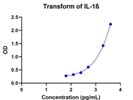 Stable Serum IL-1ß Levels