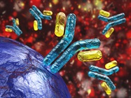 MHC-Peptide Tetramers: Enhancing the Detection of Specific T Cells in TCR Research
