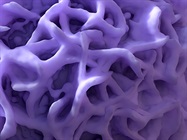 Advances in Single-Cell Multiomics for Cancer Immunotherapy