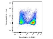 Antibody Stains CD86 Very Well