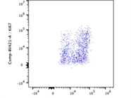 Antibody Stains Ki67 Very Well